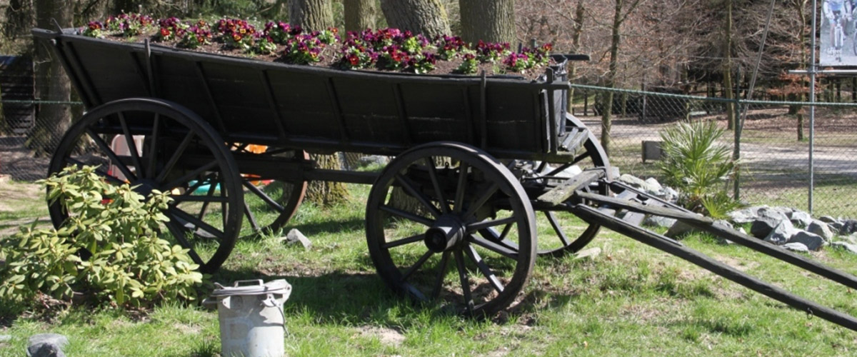 bloemenkar-museumzicht