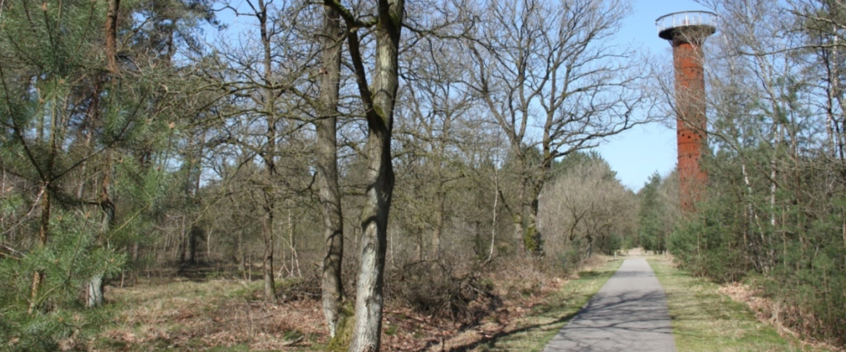 uitkijktoren-geheel