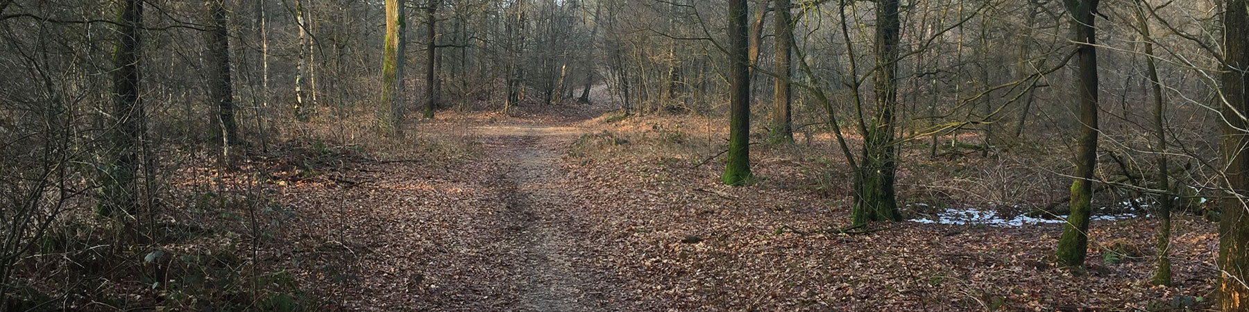 wandelen10