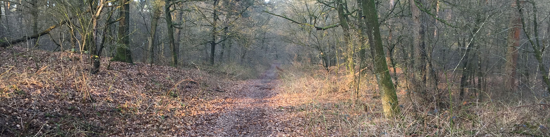 wandelen2