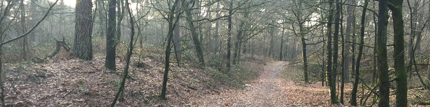 wandelen3
