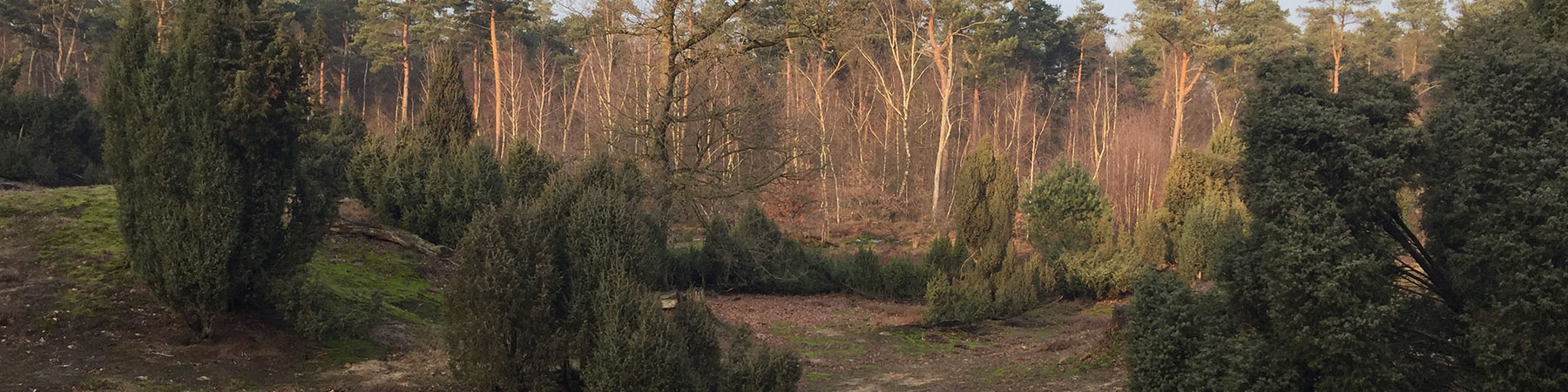 wandelen5