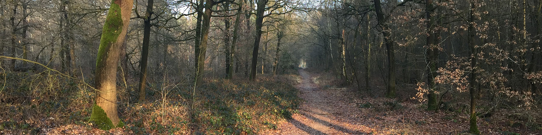 wandelen6