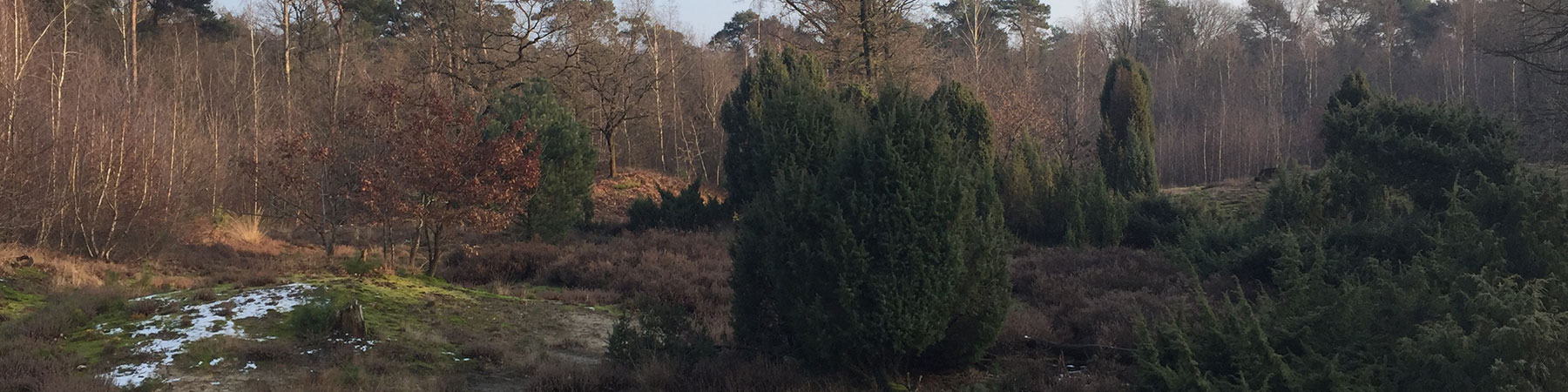 wandelen7