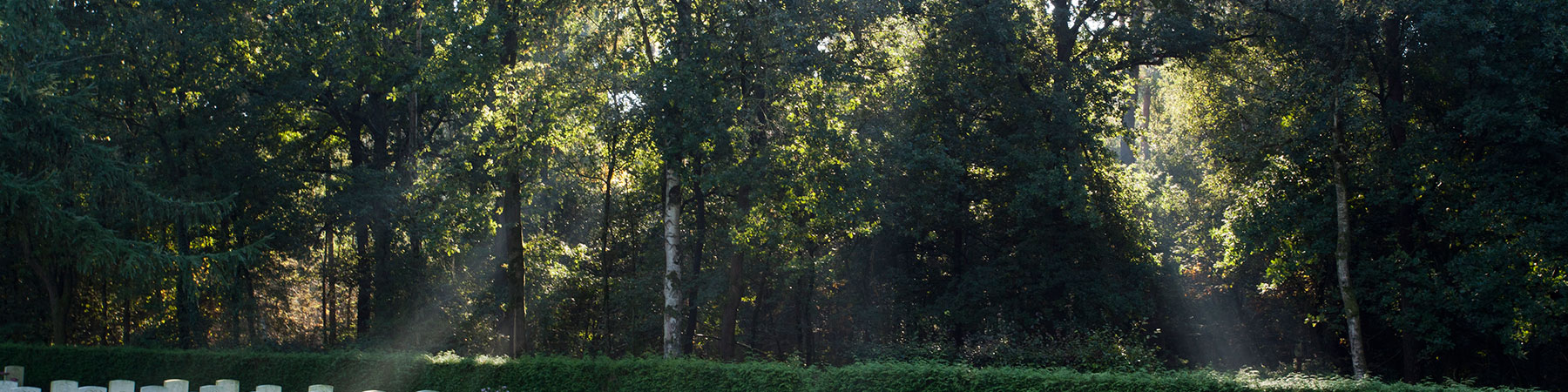 war-cemetery-overloon3